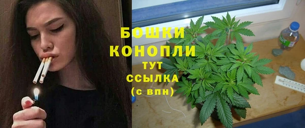 прущие грибы Бугульма