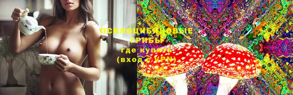 прущие грибы Бугульма