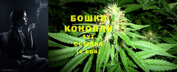 прущие грибы Бугульма