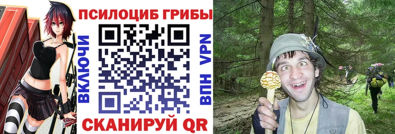 Псилоцибиновые грибы мухоморы  где продают наркотики  Никольское 